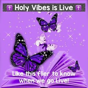 💜 HOLY VIBES LLC IS LIVE 💜